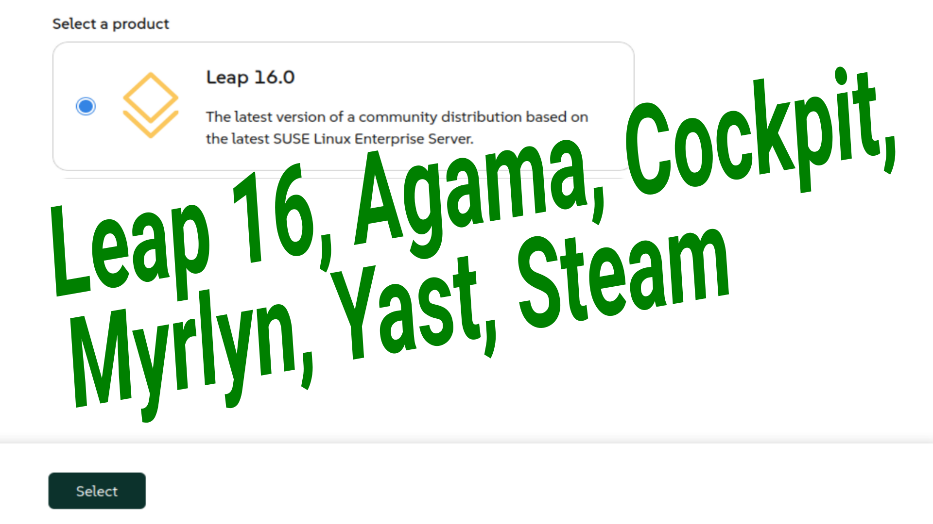 Leap 16 install Steam